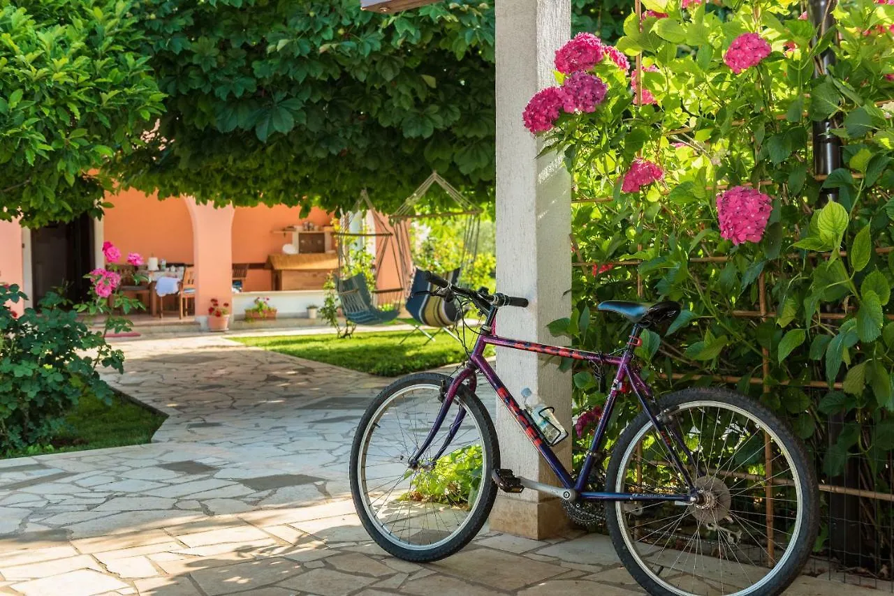 Bed & Breakfast B&B Carmela Umag