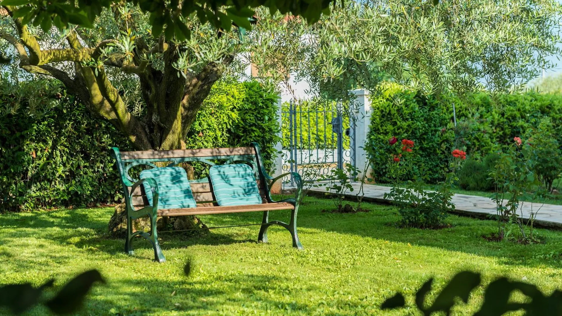 Bed & Breakfast B&B Carmela Umag