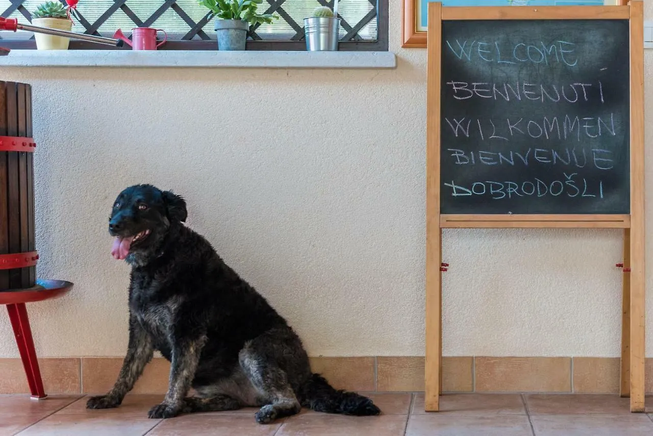 B&B Carmela Umago Bed & Breakfast