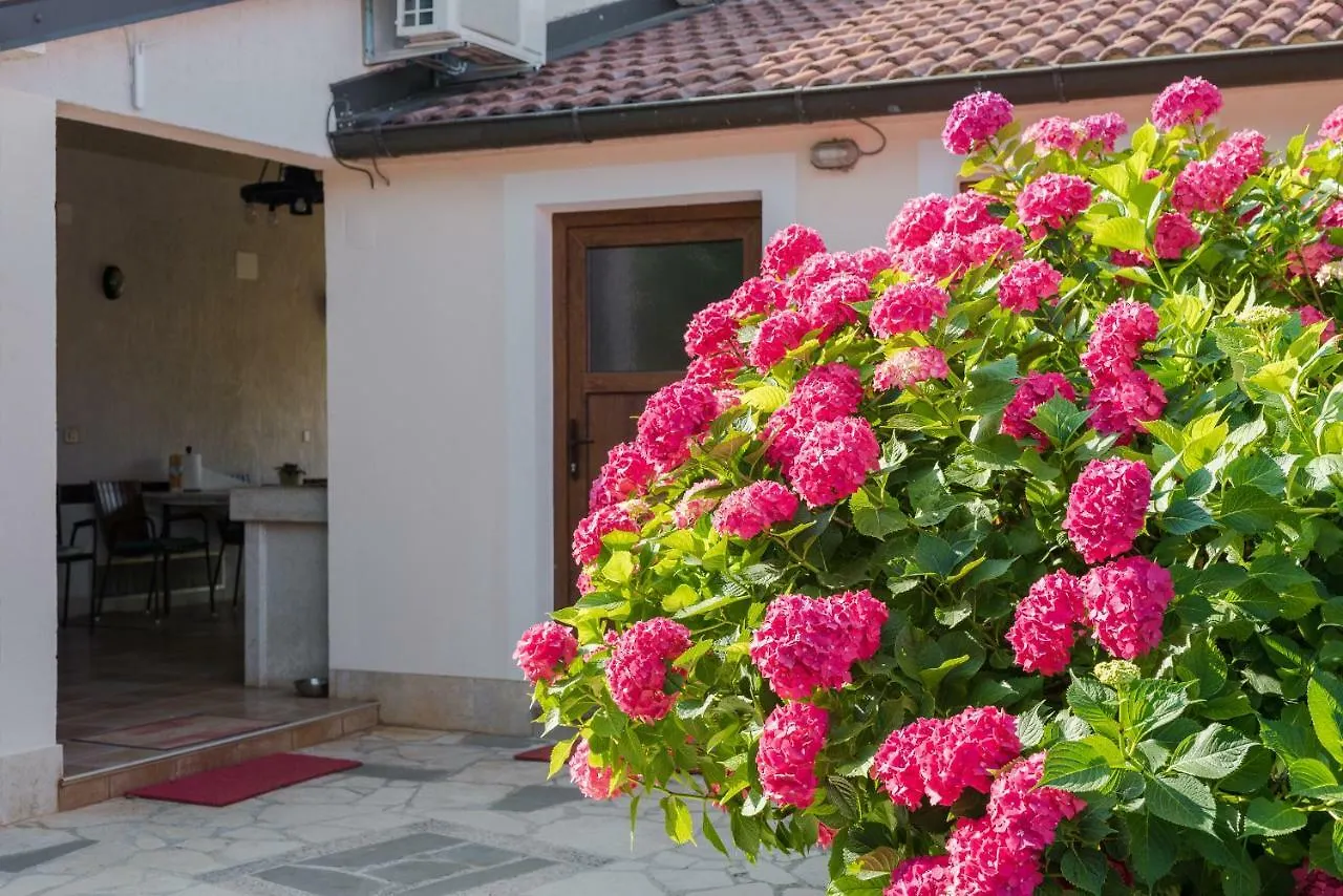 B&B Carmela Umago 2*,  Croazia