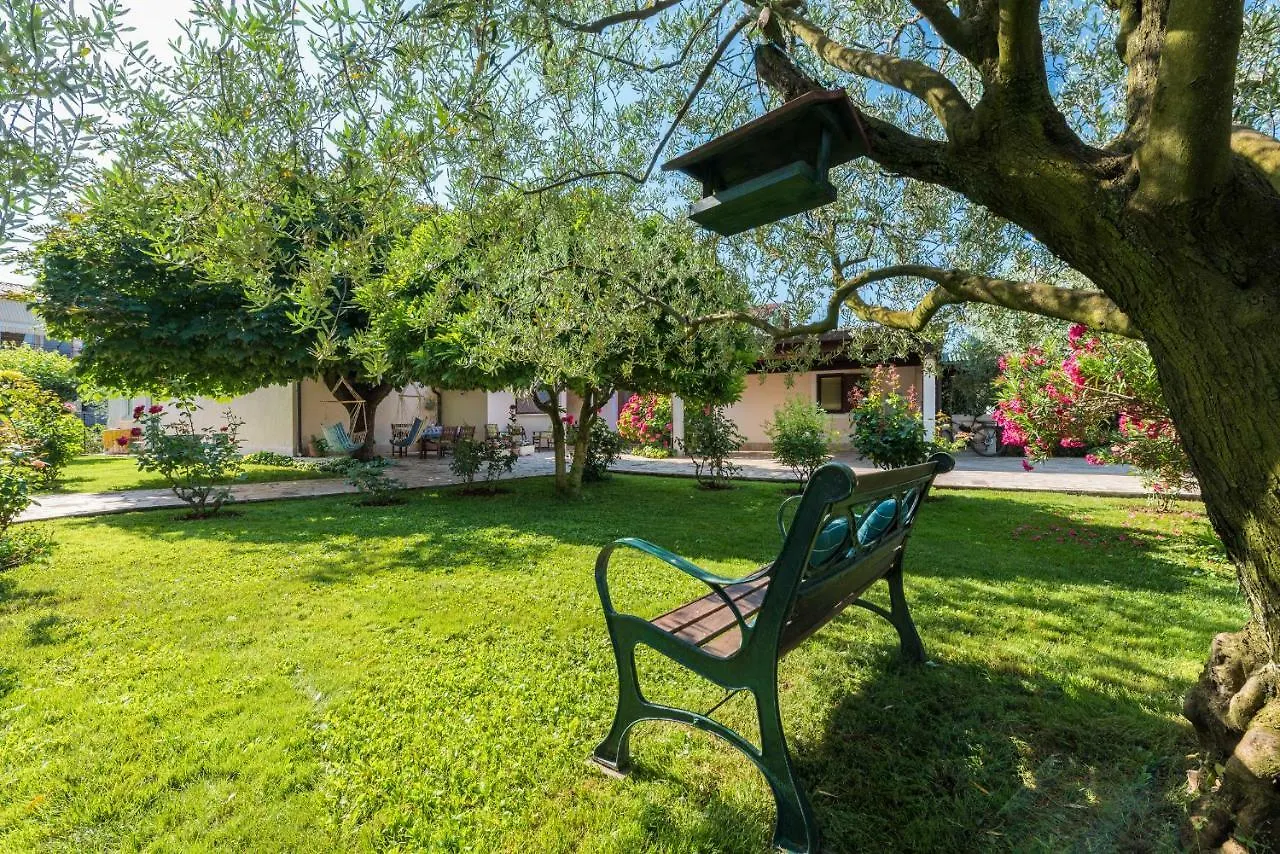 Bed & Breakfast B&B Carmela Umag