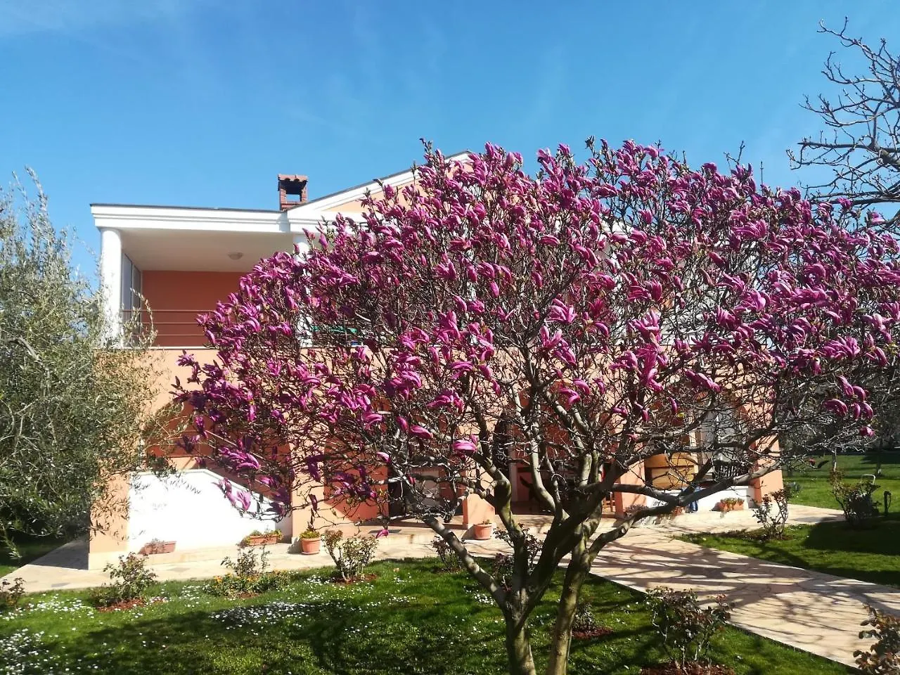 B&B Carmela Umag 2*,